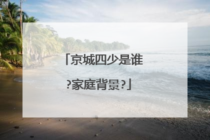 京城四少是谁?家庭背景?