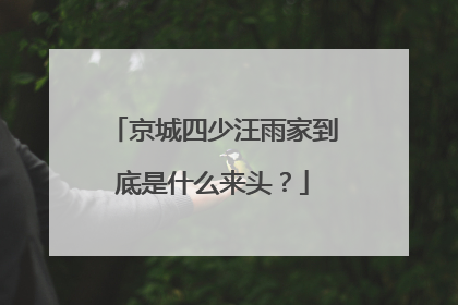 京城四少汪雨家到底是什么来头？