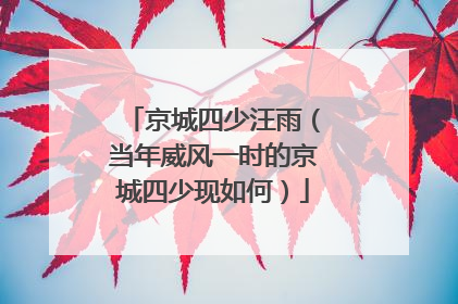 京城四少汪雨（当年威风一时的京城四少现如何）