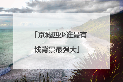 京城四少谁最有钱背景最强大