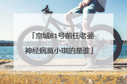 京城81号前任老婆神经病莫小琪的是谁