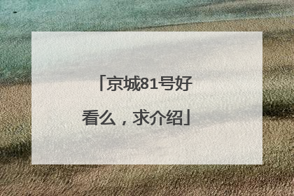 京城81号好看么，求介绍