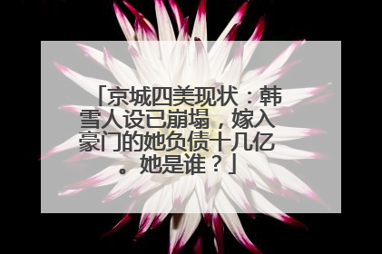 京城四美现状:韩雪人设已崩塌,嫁入豪门的她负债十几亿。她是谁?