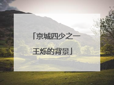 京城四少之一王烁的背景