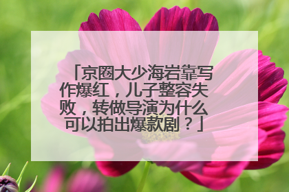 京圈大少海岩靠写作爆红,儿子整容失败,转做导演为什么可以拍出爆款剧?