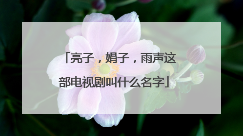 亮子，娟子，雨声这部电视剧叫什么名字