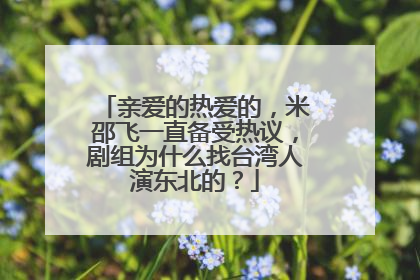 亲爱的热爱的,米邵飞一直备受热议,剧组为什么找台湾人演东北的?