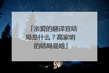亲爱的翻译官结局是什么？高家明的结局是啥