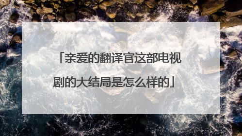 亲爱的翻译官这部电视剧的大结局是怎么样的