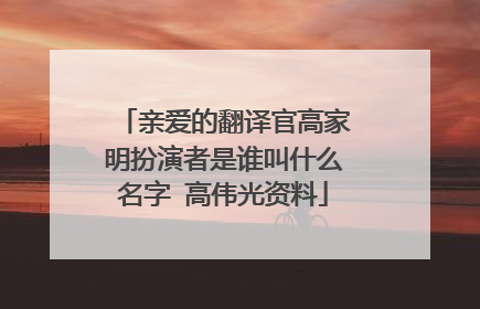 亲爱的翻译官高家明扮演者是谁叫什么名字 高伟光资料
