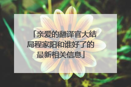 亲爱的翻译官大结局程家阳和谁好了的最新相关信息