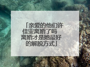 亲爱的他们许佳雯离婚了吗 离婚才是她最好的解脱方式