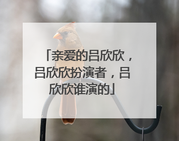 亲爱的吕欣欣,吕欣欣扮演者,吕欣欣谁演的