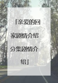 亲爱的回家剧情介绍分集剧情介绍