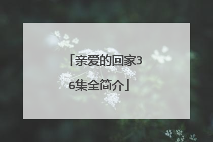 亲爱的回家36集全简介