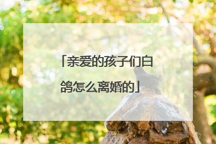 亲爱的孩子们白鸽怎么离婚的