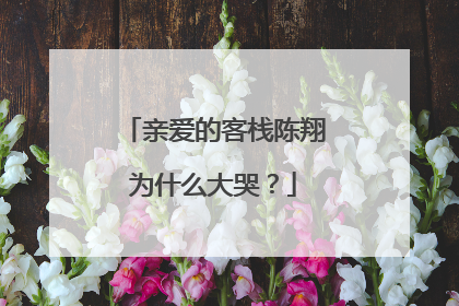 亲爱的客栈陈翔为什么大哭?