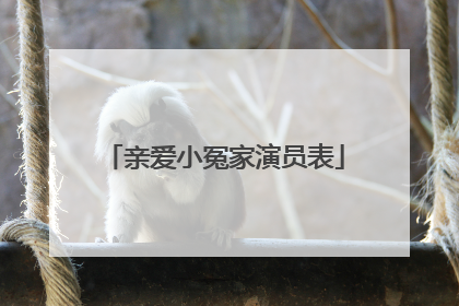 亲爱小冤家演员表