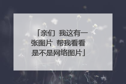 亲们 我这有一张图片 帮我看看是不是网络图片