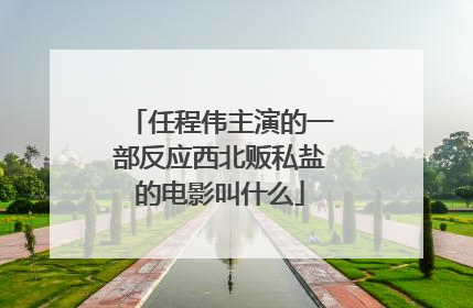 任程伟主演的一部反应西北贩私盐的电影叫什么