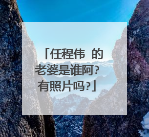 任程伟 的老婆是谁阿?有照片吗?