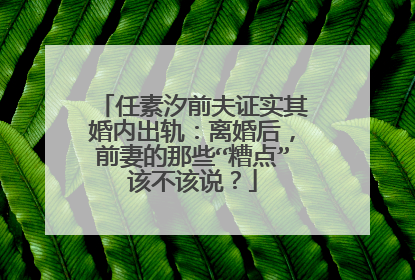 任素汐前夫证实其婚内出轨:离婚后,前妻的那些“糟点”该不该说?