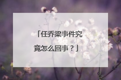 任乔梁事件究竟怎么回事？