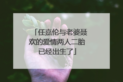 任嘉伦与老婆聂欢的爱情两人二胎已经出生了