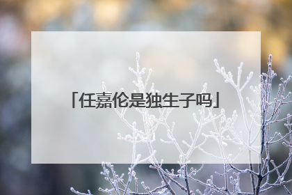 任嘉伦是独生子吗