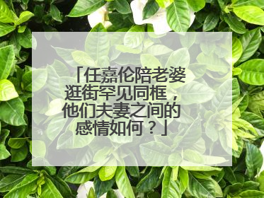 任嘉伦陪老婆逛街罕见同框,他们夫妻之间的感情如何?