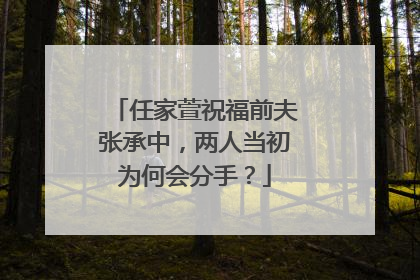 任家萱祝福前夫张承中，两人当初为何会分手？