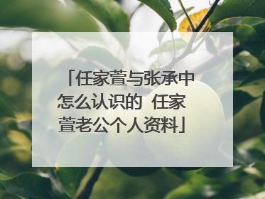 任家萱与张承中怎么认识的 任家萱老公个人资料