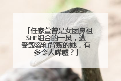 任家萱曾是女团鼻祖SHE组合的一员,遭受毁容和背叛的她,有多令人唏嘘?