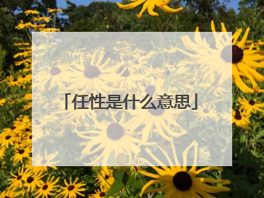 任性是什么意思