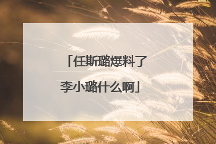 任斯璐爆料了李小璐什么啊