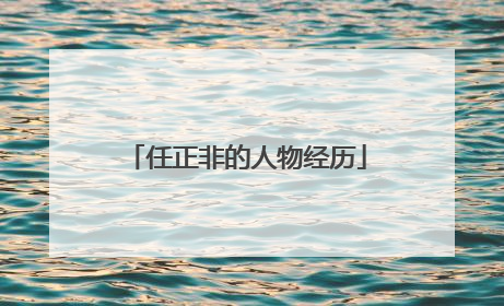 任正非的人物经历