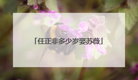 任正非多少岁娶苏薇