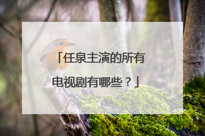 任泉主演的所有电视剧有哪些？