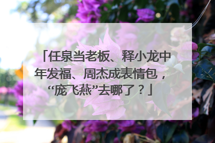 任泉当老板、释小龙中年发福、周杰成表情包,“庞飞燕”去哪了?