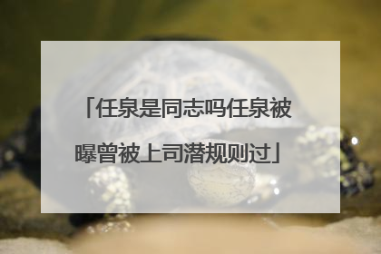 任泉是同志吗任泉被曝曾被上司潜规则过