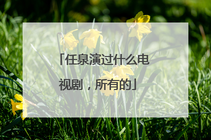 任泉演过什么电视剧，所有的