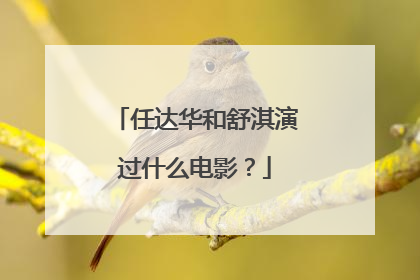 任达华和舒淇演过什么电影?
