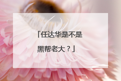 任达华是不是黑帮老大?