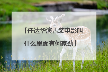 任达华演古装电影叫什么里面有何家劲