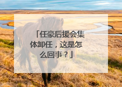 任豪后援会集体卸任，这是怎么回事？