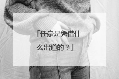 任豪是凭借什么出道的？