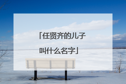 任贤齐的儿子叫什么名字