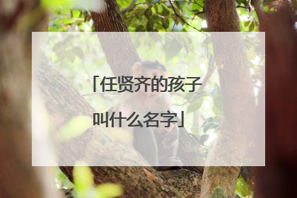 任贤齐的孩子叫什么名字