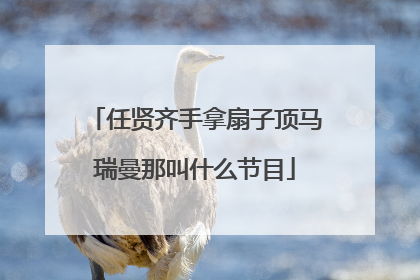 任贤齐手拿扇子顶马瑞曼那叫什么节目