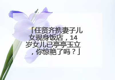 任贤齐携妻子儿女现身饭店，14岁女儿已亭亭玉立，你惊艳了吗？